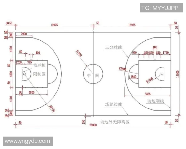 篮球装备选购指南:如何选择适合自己的篮球和配件推荐