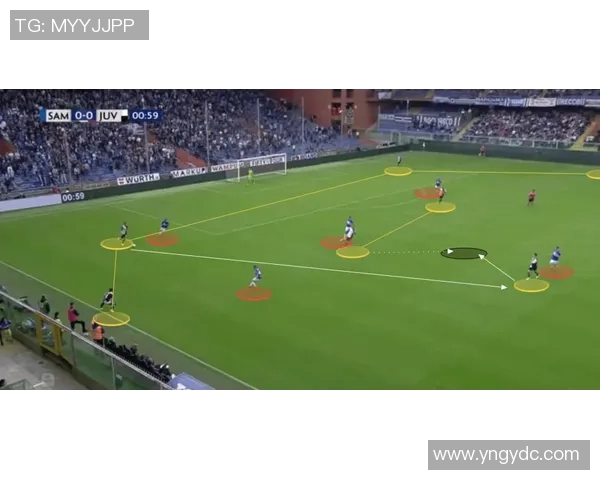 广州排球队区域防守战术解析与实践探讨 广州排球队区域防守战术解析与实践探讨