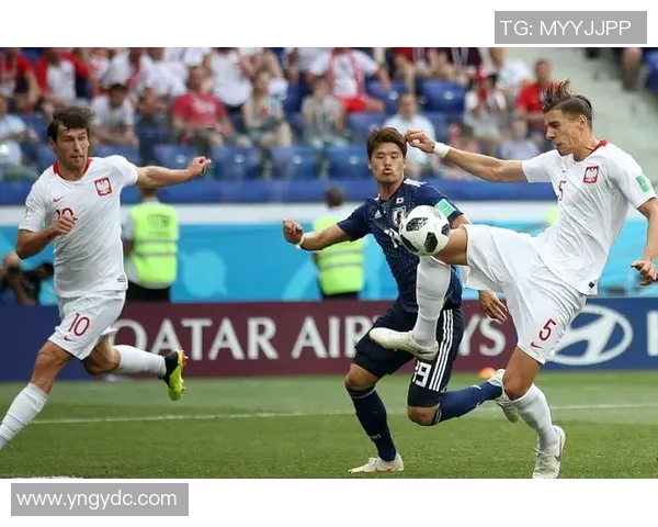 成都排球队配合问题引发热议球迷对战术与默契的不同看法