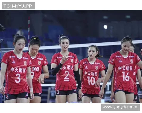 杭州排球队实力分析与未来发展展望探讨