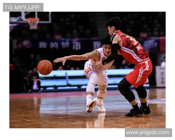 深圳篮球队杯赛技术分析与表现评估全景解读