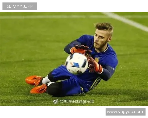 西班牙队在世界杯中的心理素质分析与表现评估