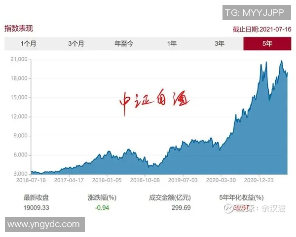 赛后分析：北京排球队与深圳排球队的表现与状态对比探讨