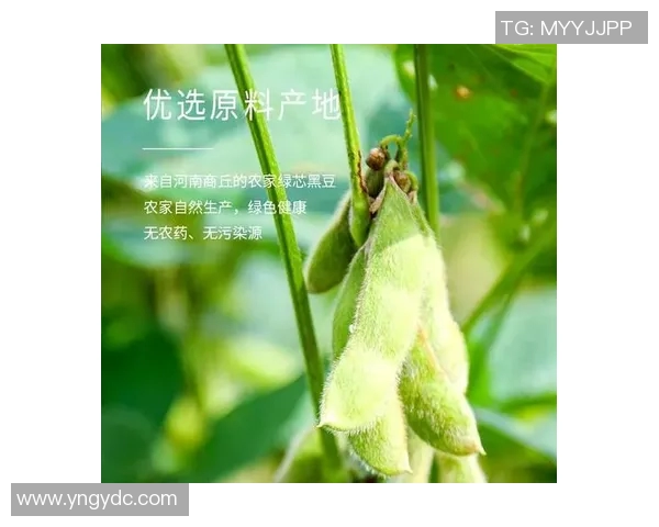 赵磊独家分享篮球心得与技巧助你提升球技的全面指南