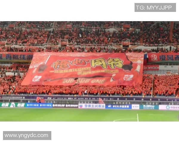 足球明星在赛场上跪地的背后故事与心理感受探讨