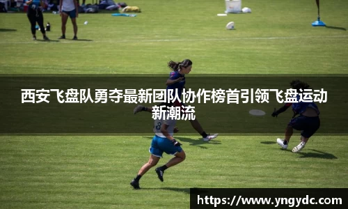 西安飞盘队勇夺最新团队协作榜首引领飞盘运动新潮流
