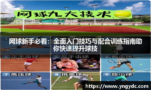 网球新手必看：全面入门技巧与配合训练指南助你快速提升球技