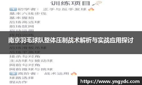 南京羽毛球队整体压制战术解析与实战应用探讨