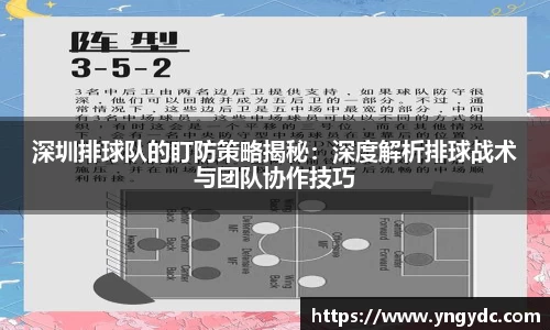 深圳排球队的盯防策略揭秘：深度解析排球战术与团队协作技巧
