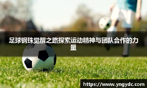 足球钢珠觉醒之路探索运动精神与团队合作的力量
